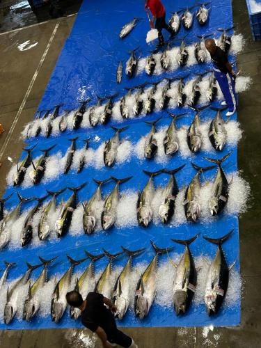 a group of fish are lined up on a table at T'S House Numazu in Numazu