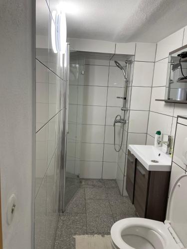 a bathroom with a shower and a toilet and a sink at Pension-Einfach Übernacht in Rüdesheim am Rhein in Rüdesheim am Rhein