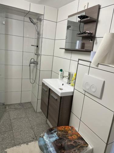 a bathroom with a shower and a sink and a toilet at Pension-Einfach Übernacht in Rüdesheim am Rhein in Rüdesheim am Rhein