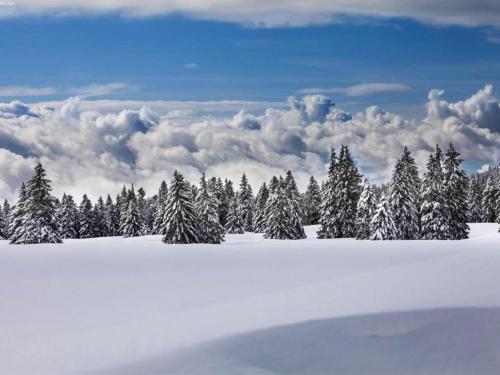a snow covered forest of trees with clouds in the background at Cozy Stay near Aletsch in Grengiols