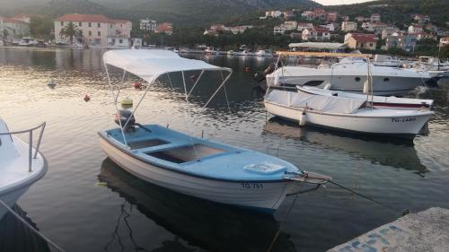 Příroda nedaleko apartmánu
