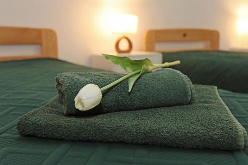 a flower sitting on top of a green towel on a bed at Centrum Edukacji Ekologiczno-Turystycznej in Myczków