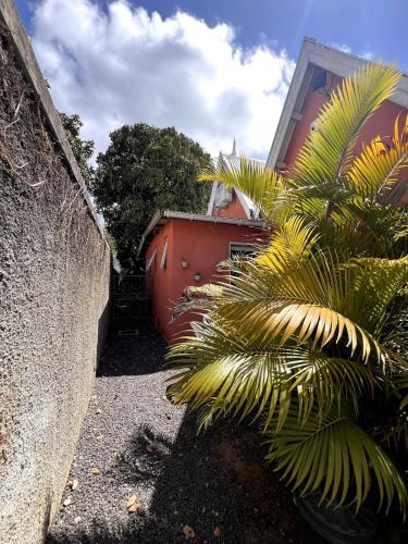a palm tree in front of a building at Ti Lakaz Kreol 2 in Pereybere