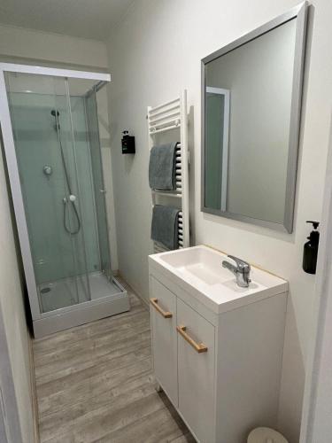 ein Badezimmer mit Waschbecken und Dusche mit Spiegel in der Unterkunft Casa Victoria in Ruelle-sur-Touvre