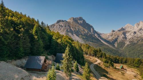a view of a mountain with trees and a road at Komovi Luxury House in Andrijevica