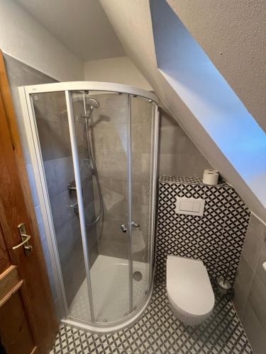 a bathroom with a shower and a toilet at Penzion U Studeného potoka in Nové Hutě