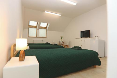 a bedroom with two green beds and a television at Centrum Edukacji Ekologiczno-Turystycznej in Myczków
