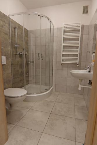 a bathroom with a shower and a toilet and a sink at Centrum Edukacji Ekologiczno-Turystycznej in Myczków