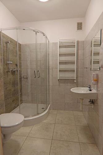 a bathroom with a shower and a toilet and a sink at Centrum Edukacji Ekologiczno-Turystycznej in Myczków