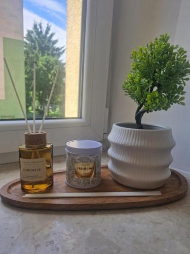 a wooden tray with two vases and a potted plant at Nook Apartment Zamość Old Town in Zamość
