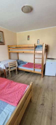 a bedroom with two bunk beds in a room at Agroturystyka Pod Brzozami in Susiec