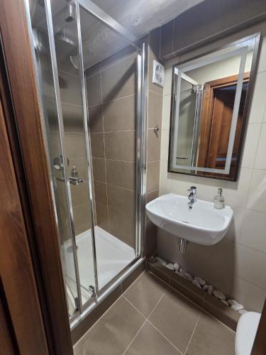 a bathroom with a shower and a sink at Nowa Prowansja 