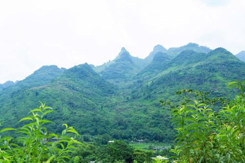 a view of a mountain range with trees in the foreground at Tom's Du Già Homestay in Làng Cac