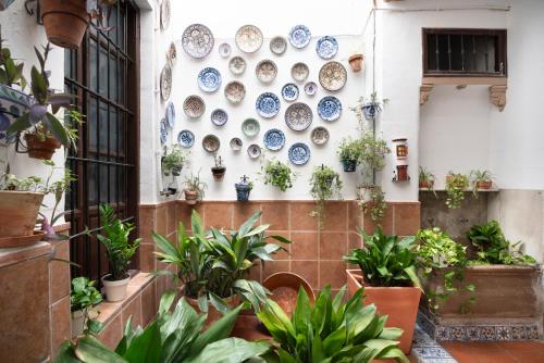 Central Top-Floor Apartment near Cathedral with Private Terrace - 3A
