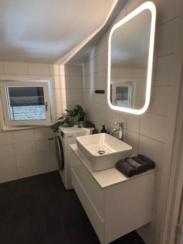 a bathroom with a sink and a washing machine at Spirit Bed & Breakfast in Ekeby