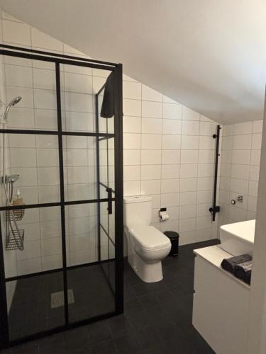 a bathroom with a toilet and a shower and a sink at Spirit Bed & Breakfast in Ekeby