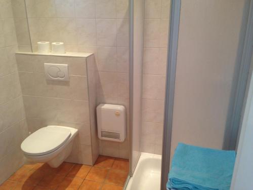 a small bathroom with a toilet and a shower at Gästehaus Haider in Illmitz