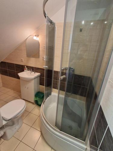a bathroom with a shower and a toilet at Agroturystyka Pod Brzozami in Susiec