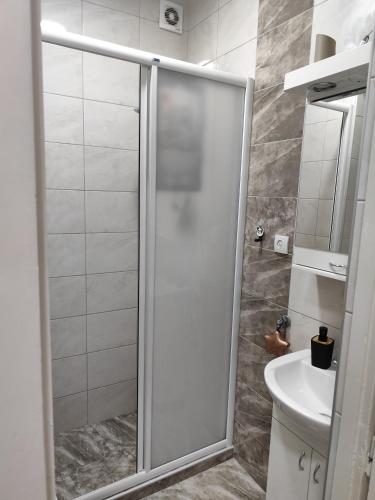 スメデレヴォにあるAria Central Apartmentのシャワー、トイレ、洗面台を備えたバスルーム
