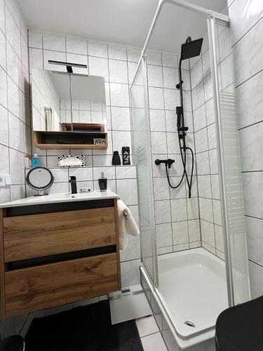 a bathroom with a shower and a sink and a tub at Neues Apartment bei Heidelberg in Leimen
