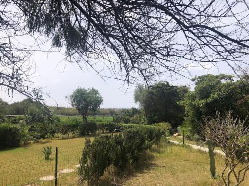 a garden with a fence and trees in the background at Villetta Simius Luxury in Simius