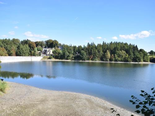 a view of a lake with trees in the background at Cosy Holiday Home with Sauna, Terrace in Butgenbach