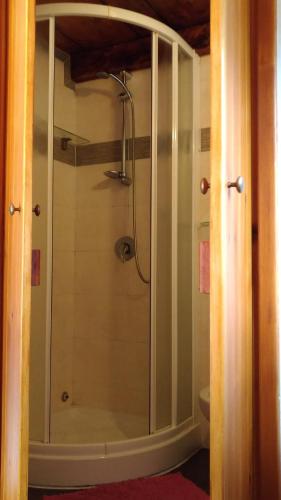 a bathroom with a shower with a glass door at VERO RUSTICO ALPiNO in Madesimo
