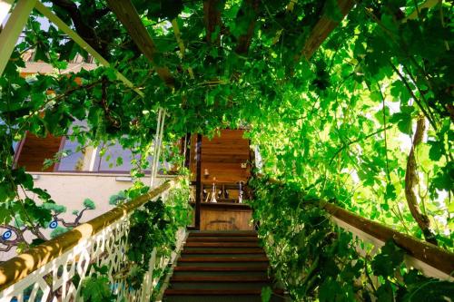a stairway with a bunch of green vines at Lord of Cappadocia Hotel in Goreme