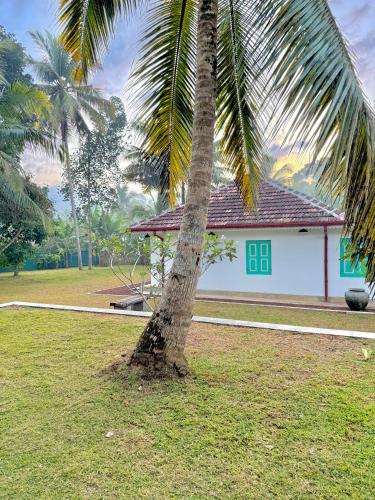 a palm tree in front of a house at Tropicana Hideaway Hikkaduwa in Hikkaduwa