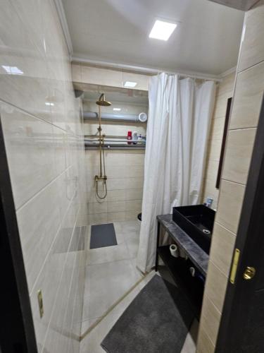 a bathroom with a shower and a sink at 46 Loft apartment with king-size bed in Chernihiv