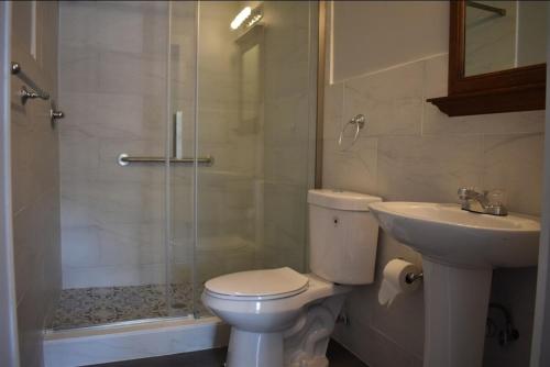 a bathroom with a toilet and a shower and a sink at Tannersville Village Rooms on Saw Mill Creek in Tannersville