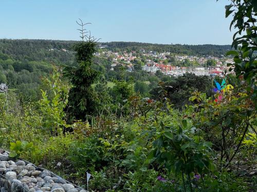a view of a city from a hill with flowers at Son view in Vestby