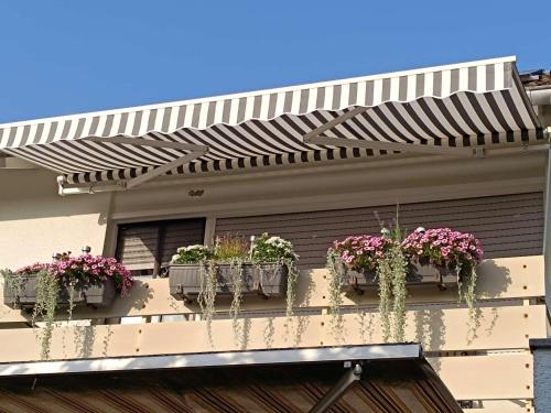 a balcony with potted plants on a building at Ferienwohnung Marita in Rietberg