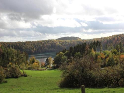 a field with a view of a river and trees at Rühlen Schneifel Escape in Auw