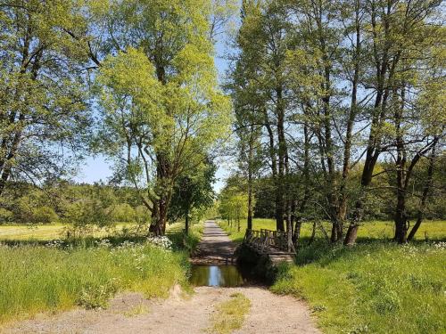 a dirt road next to a river with trees at Rühlen Schneifel Escape in Auw