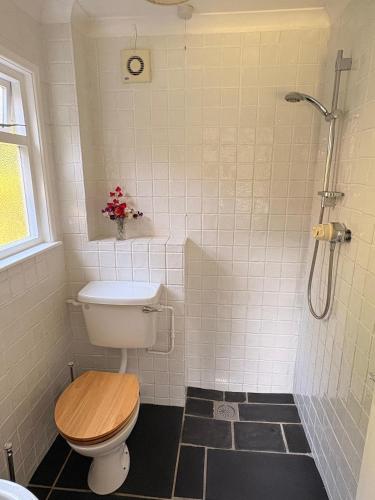 a bathroom with a toilet and a shower at B&B Higher Quantock in Stockland
