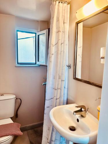 a bathroom with a sink and a toilet and a mirror at Goutos Tiny in Ermioni