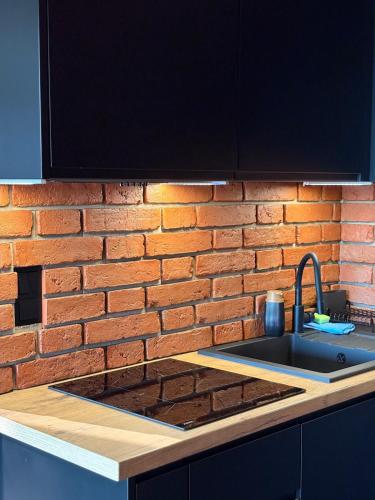 a kitchen with a brick wall and a sink at Stodoła na Drobnym Wierchu in Podwilk