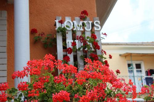 a sign on the side of a building with red flowers at Domus Tua in Pietrelcina