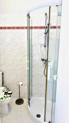 a bathroom with a shower and a toilet at La Terrasse de Bracco in Beaulieu-sur-Mer