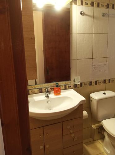 a bathroom with a sink and a toilet and a mirror at Olga's House in Preveza