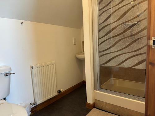 a bathroom with a toilet and a glass shower door at Feochan Portree in Portree