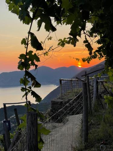 a view of the sunset from the top of a mountain at plumbago blue in Ameglia