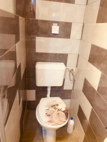 a bathroom with a toilet with a flower on it at Midana Vrdnik in Vrdnik