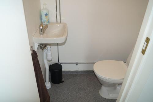 a small bathroom with a toilet and a sink at Laplanders rooms in Kiruna