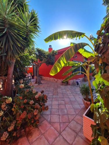 a courtyard with plants and a red building at Villino Luce in Nettuno
