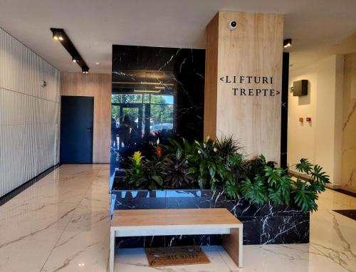 Ο χώρος του λόμπι ή της ρεσεψιόν στο Casa Frida