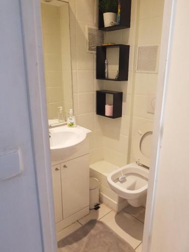 łazienka z umywalką i toaletą w obiekcie Charmant studio Nice w Nicei