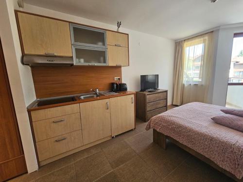 een keuken met een wastafel en een bed in een kamer bij Cozy studio 125 in Villa Park in Borovets