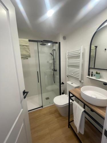 a bathroom with a shower and a toilet and a sink at Hotel Apartamento Los Villares in Los Villares de Soria